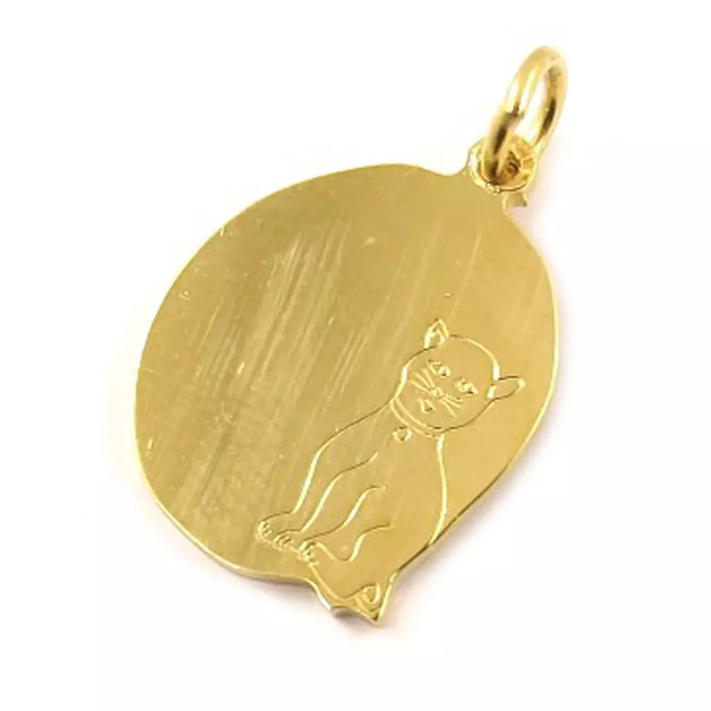 Les Trésors De Lily Médaille Plaqué Or 'Message Chat' Doré 15x17 Mm [C6893]