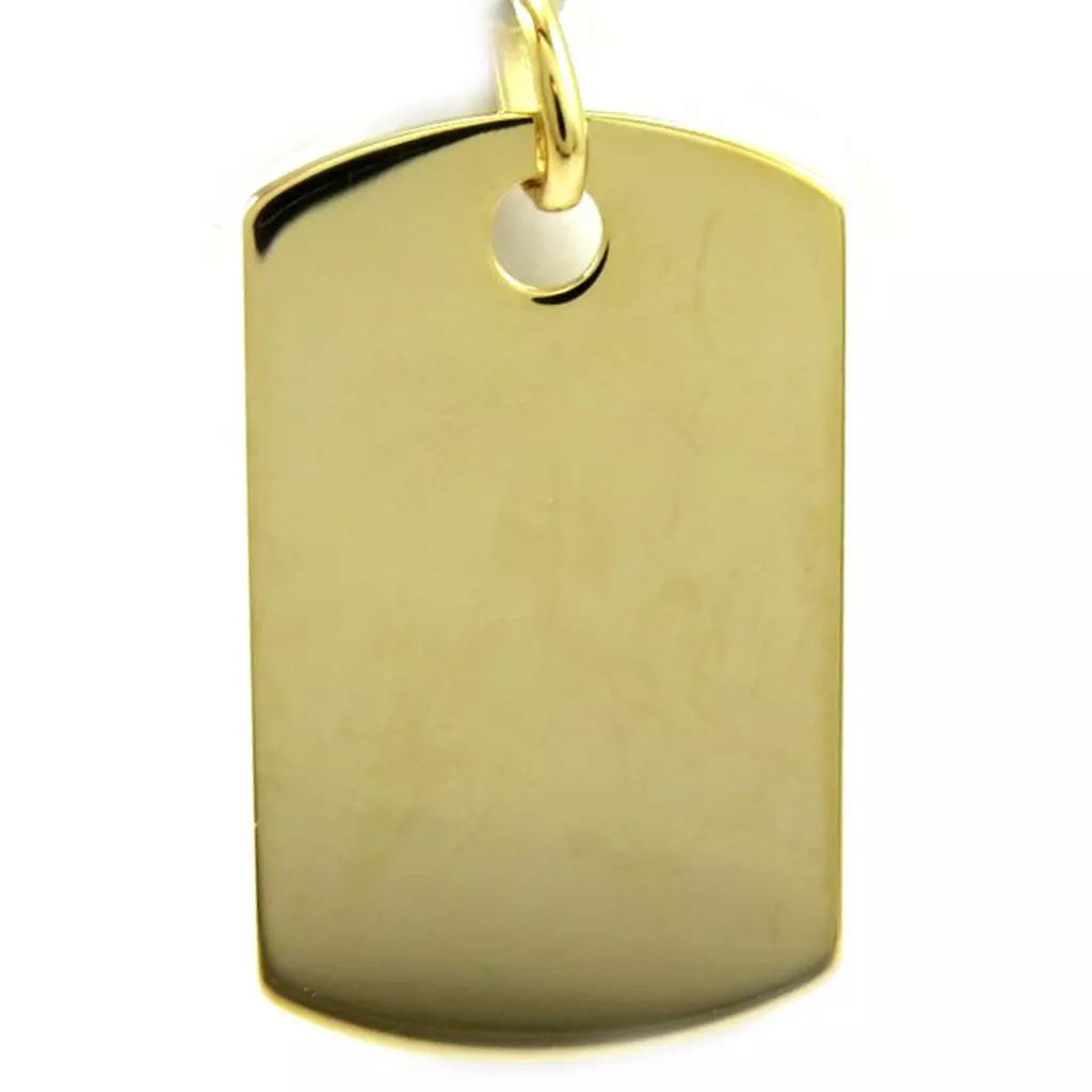 Les Trésors De Lily Médaille Plaqué Or 'Plaque Américaine' (3x18 Cm) [L6131]