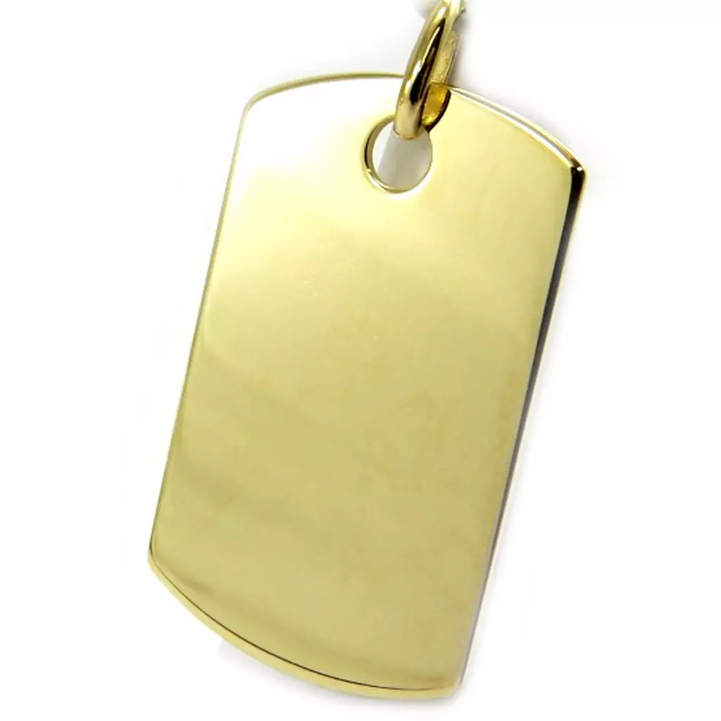 les trésors de lily Médaille plaqué or 'Plaque Américaine' (3x18 cm) [L6131]