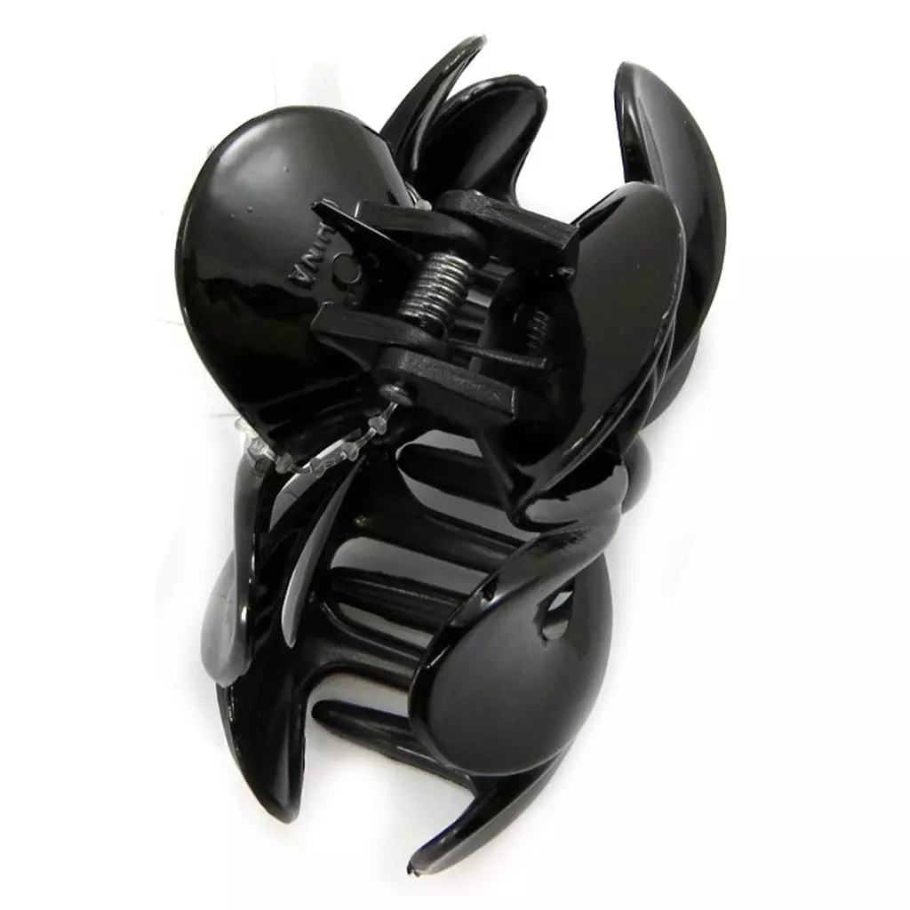 Les Trésors De Lily Pince 'Simplicité' Noir 85x60 Mm [L6214]