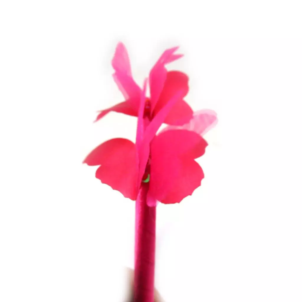 Les Trésors De Lily Serre Tête 'Papillons' Fuschia 7x5 Cm [J5737]