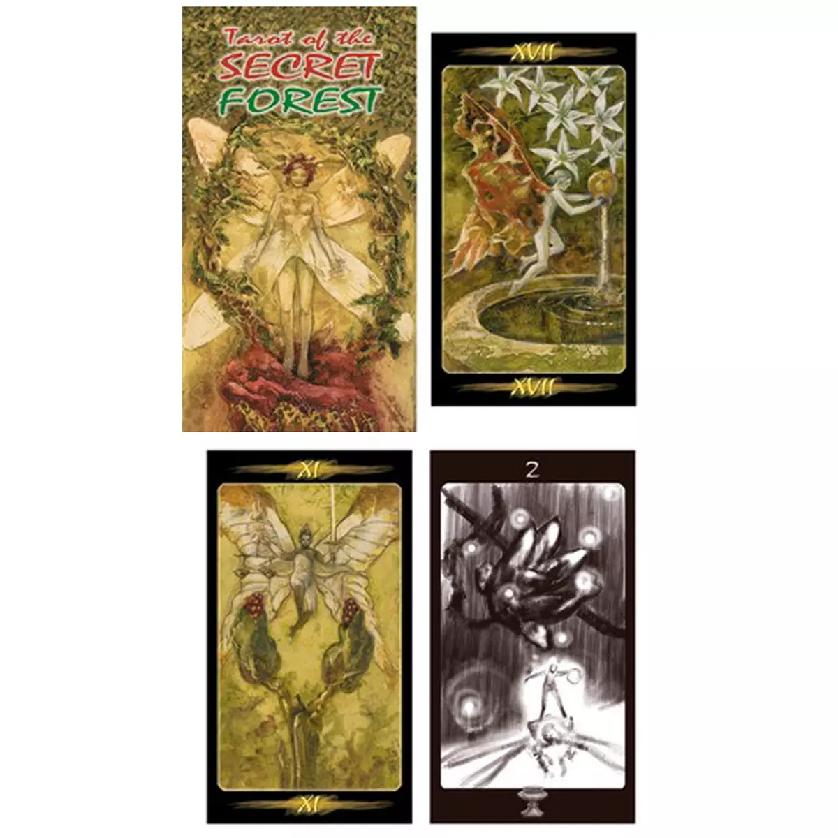 les trésors de lily Tarot Créateur 'Bois Secret' Secret Forest 12x7x3 cm [A0958]
