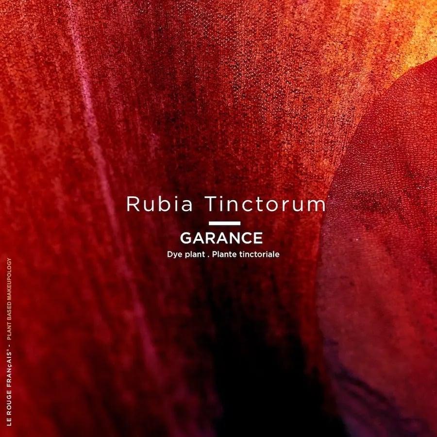 L'exception Baume Teinté Sigrid Rouge Foncé Le Rouge Français