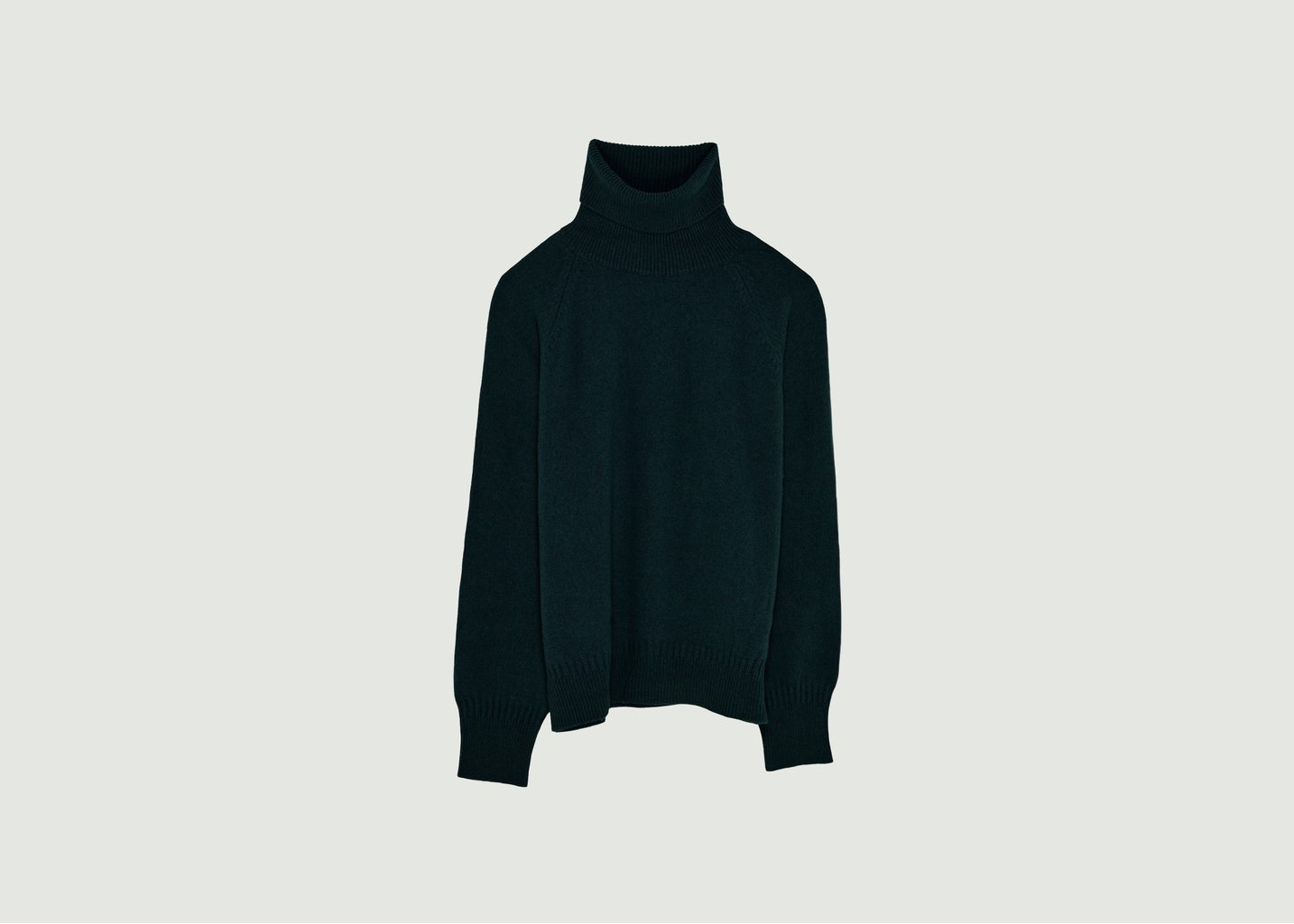 l'exception Col Roulé En Cachemire Vert Foncé Tricot