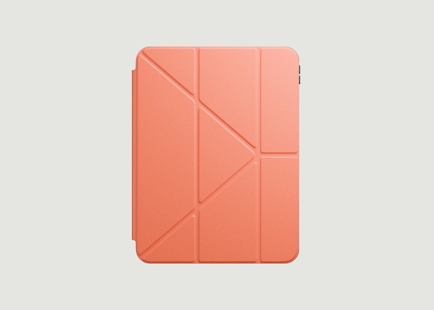 L'exception Coque Protection Pour IPad Pêche Native Union
