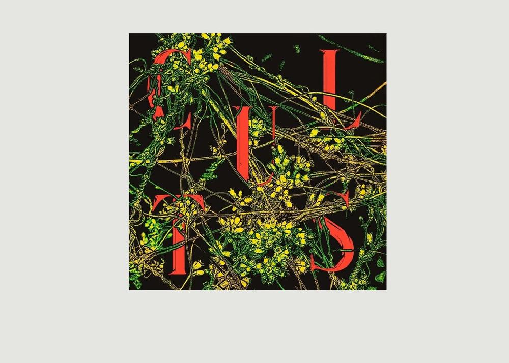 l'exception Host Green Edition Cults Noir La vinyl thèque idéale