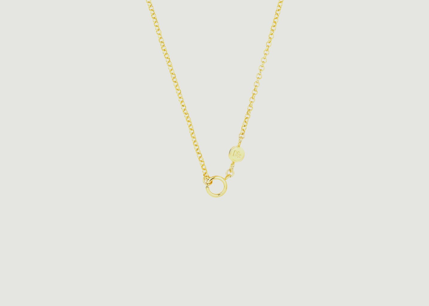 l'exception Collier fin Charm's Or N2