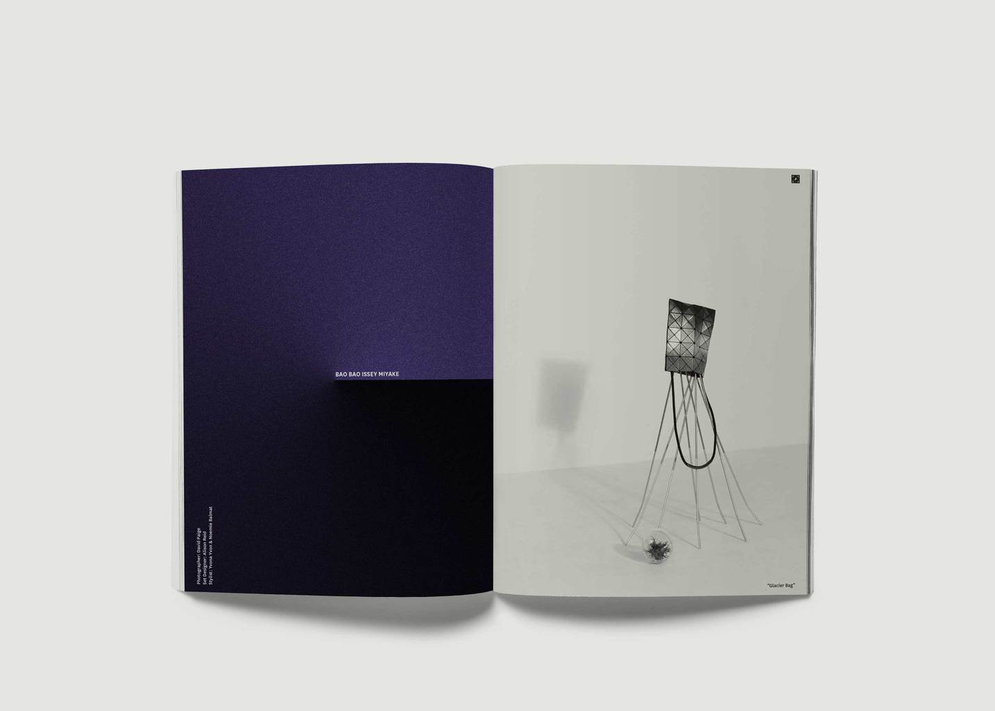 L'exception Elements .Futur Blanc La Librairie