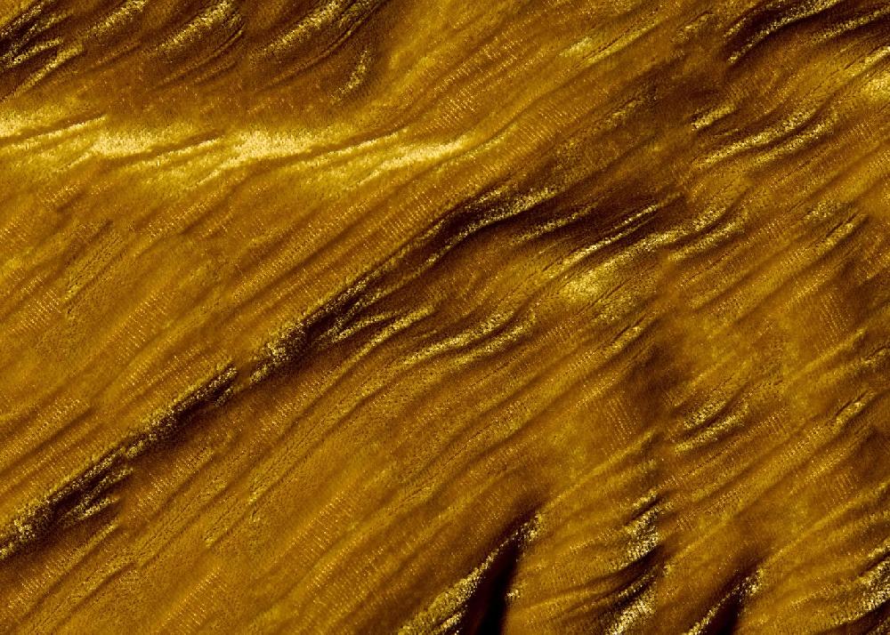 L'exception Le Pantalon Sadie Moutarde Soubacq