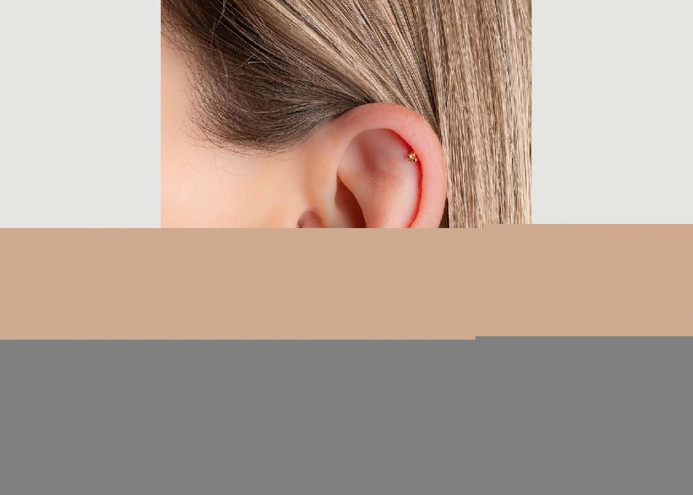 L'exception Piercing Elliot Or April Please