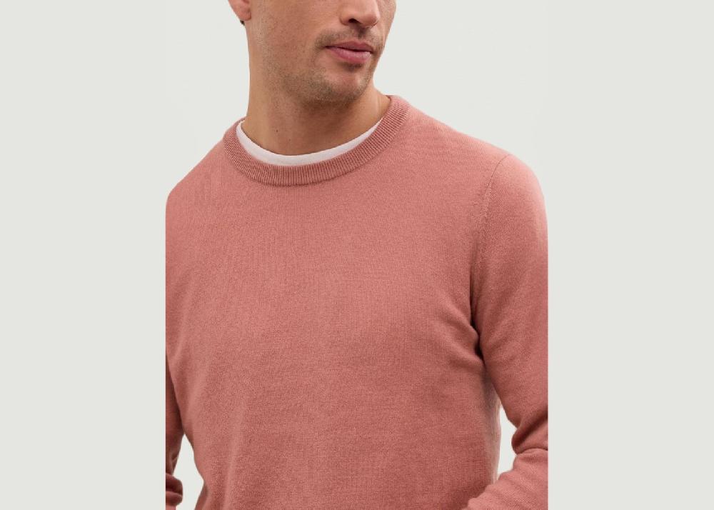 L'exception Pull Timo Rose Hircus
