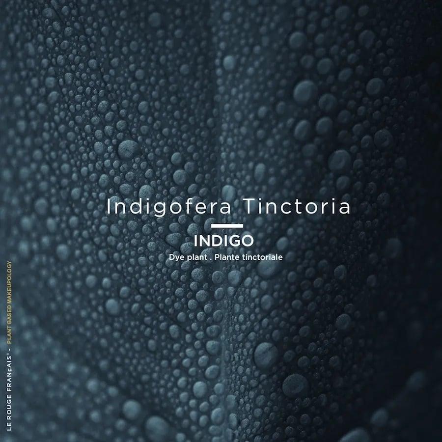 L'exception Le Noir Cassiopée Noir Le Rouge Français