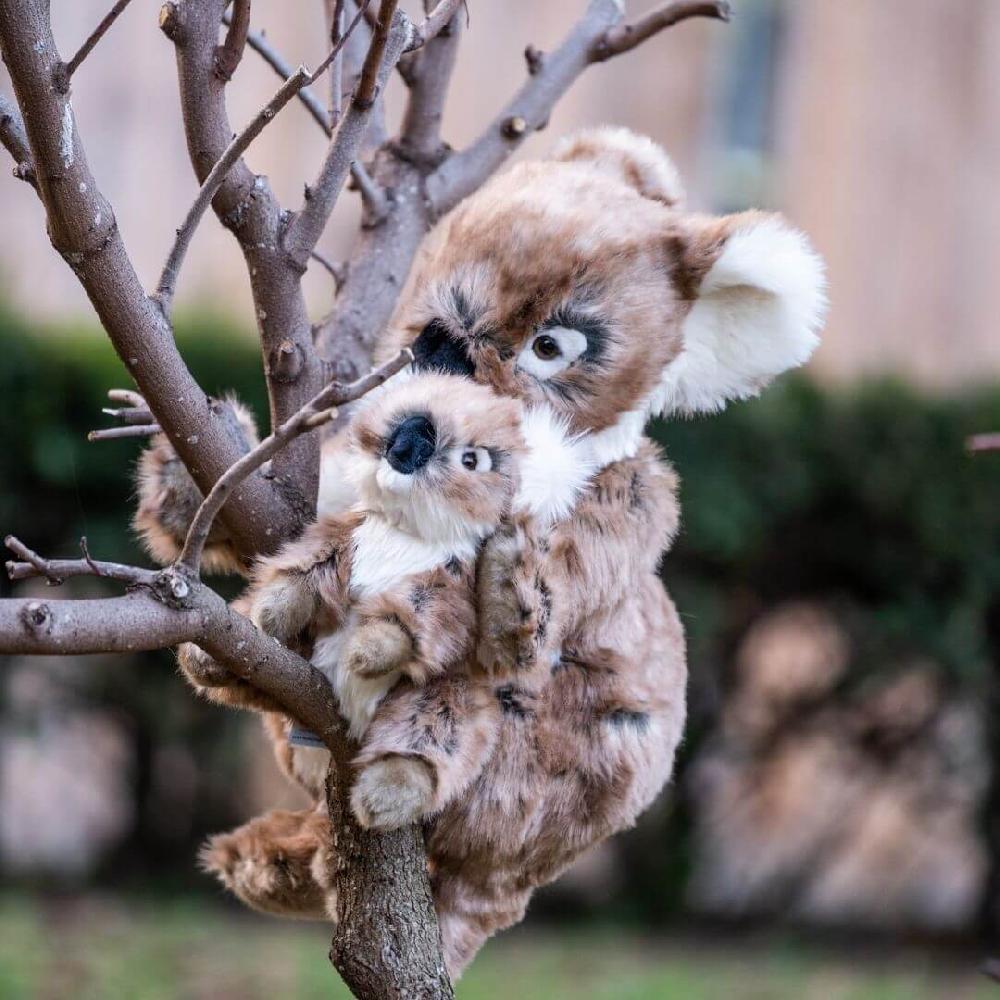 L'exception Ma Peluche Koala Félicien Camel La Pelucherie