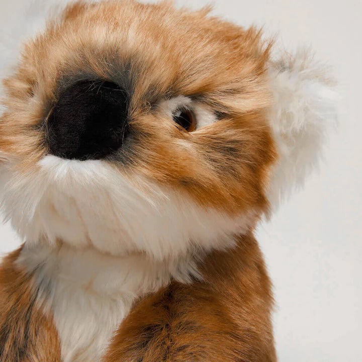 L'exception Ma Peluche Koala Félicien Camel La Pelucherie