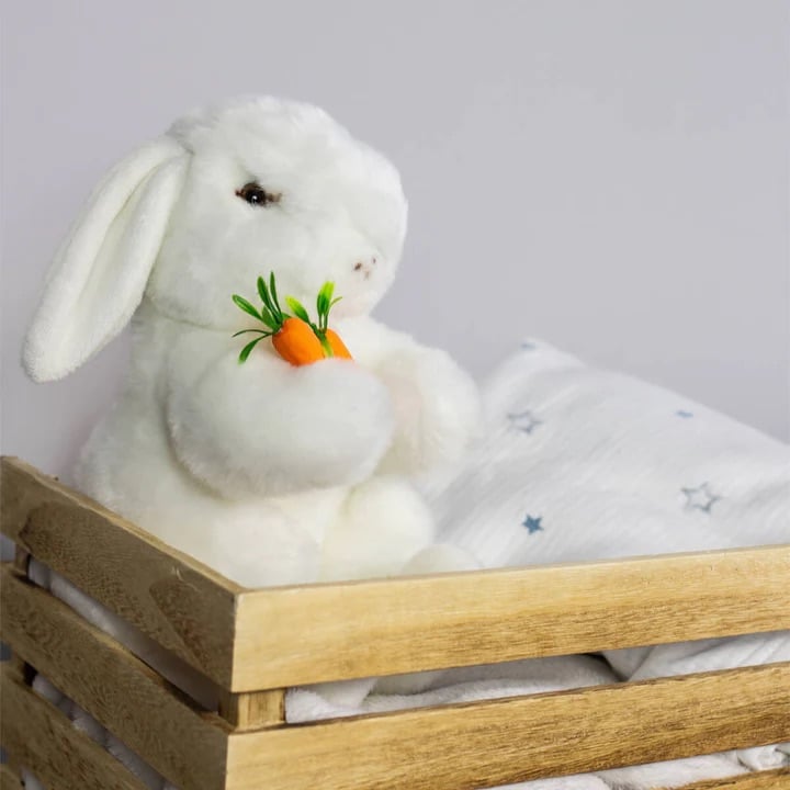 L'exception Ma Peluche Lapin Ernest Blanc La Pelucherie