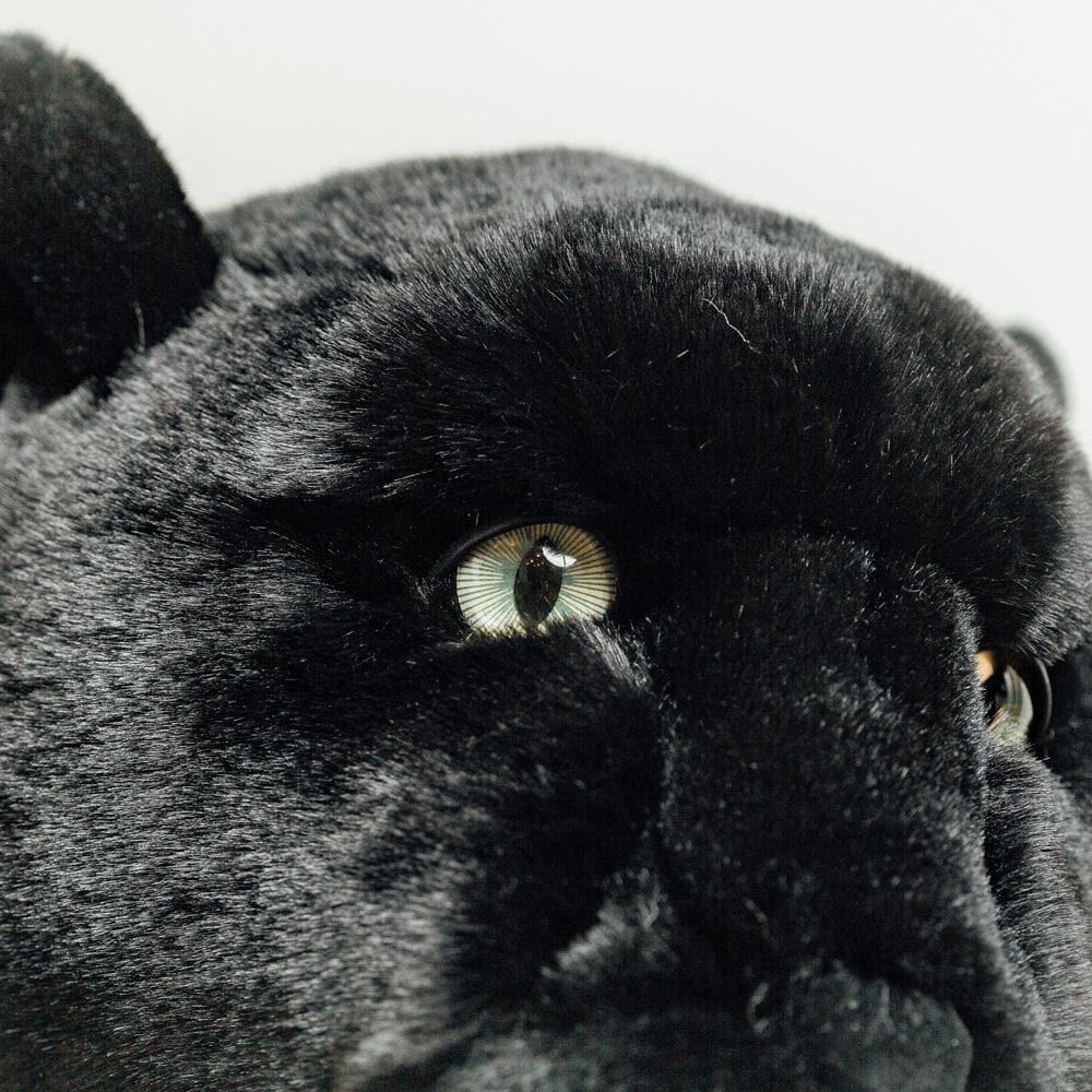 L'exception Ma Peluche Panthère Zélie Noir La Pelucherie