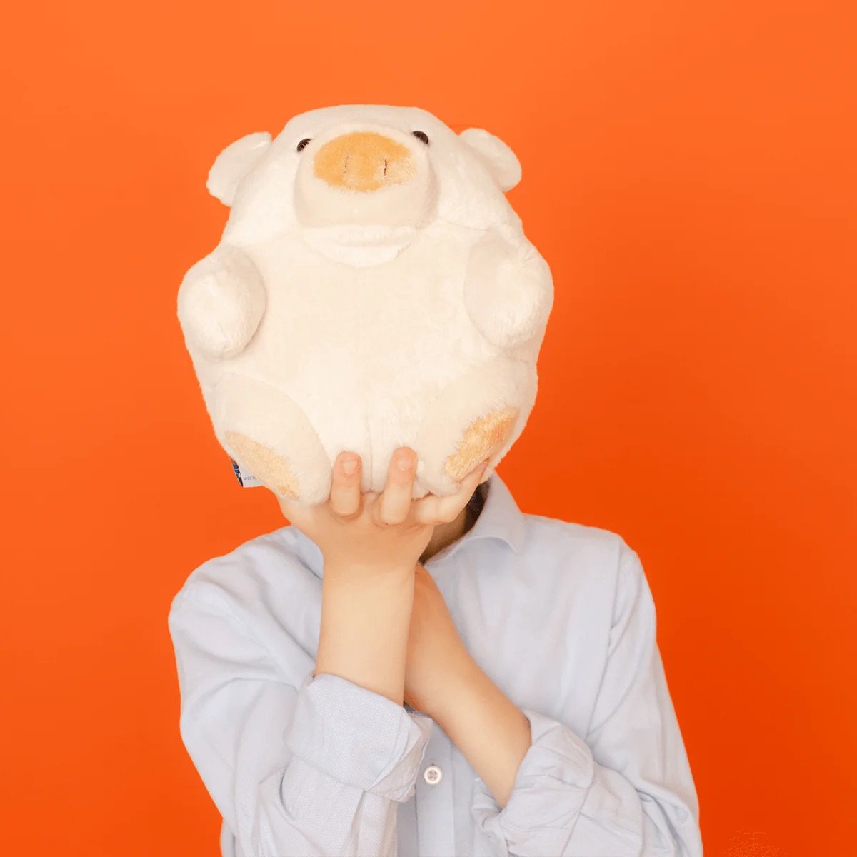 L'exception Ma Peluche Roodoodoo Coco Le Cochon Poudre La Pelucherie