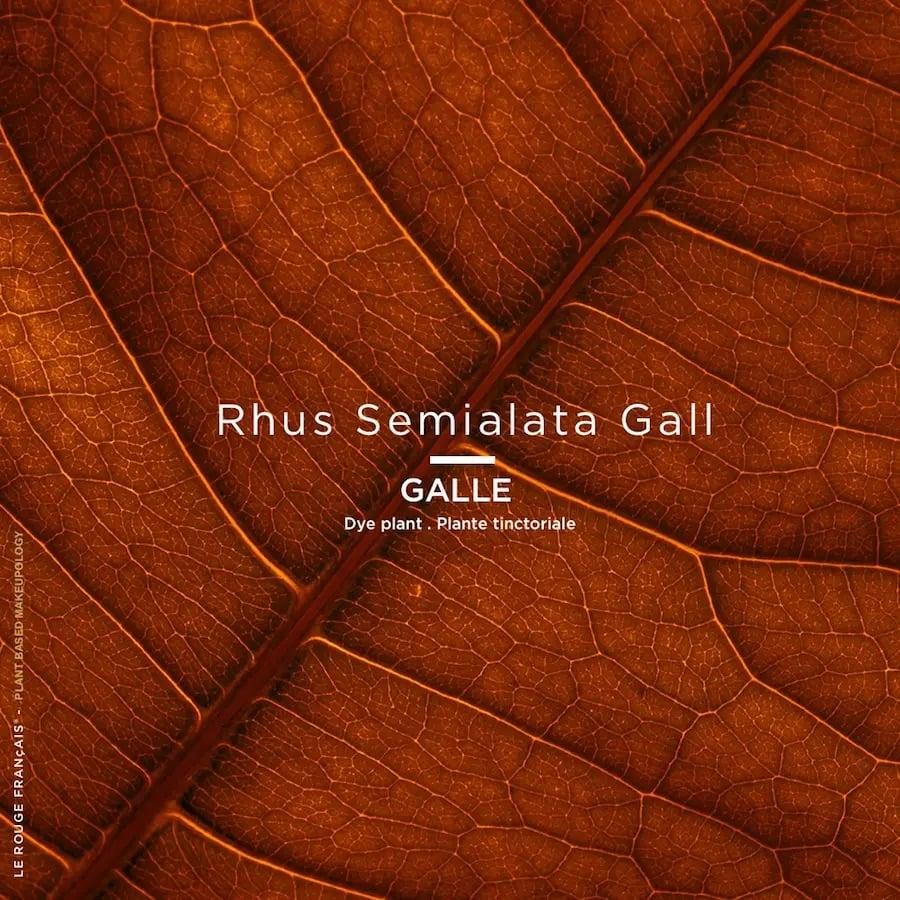 L'exception Rouge à Lèvres Le Rose Licandre Framboise Le Rouge Français