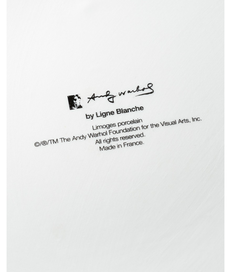 Ligne Blanche Paris Andy WARHOL Bougie Géante ”Colour Flowers”