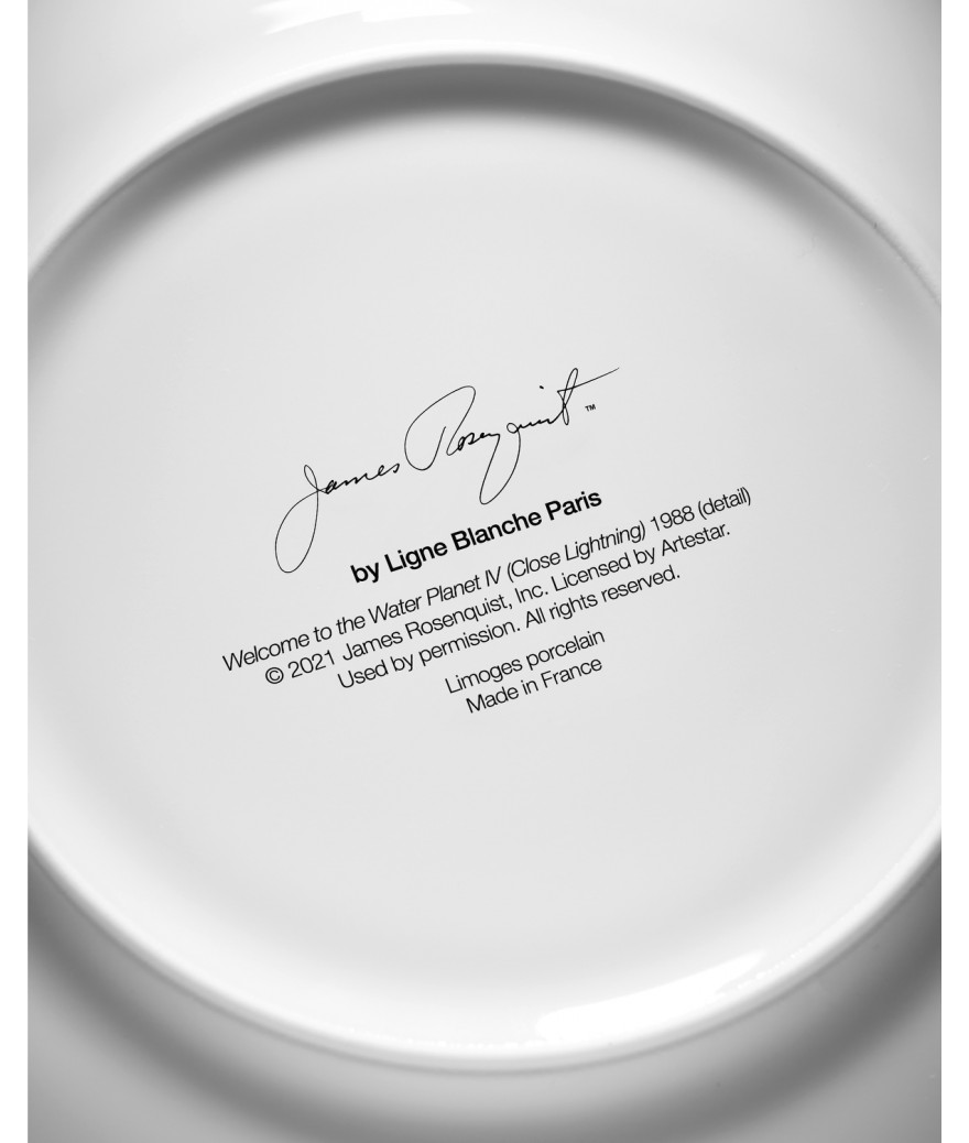 Ligne Blanche Paris James ROSENQUIST Grande Assiette En Porcelaine "Welcome To The Water Planet"