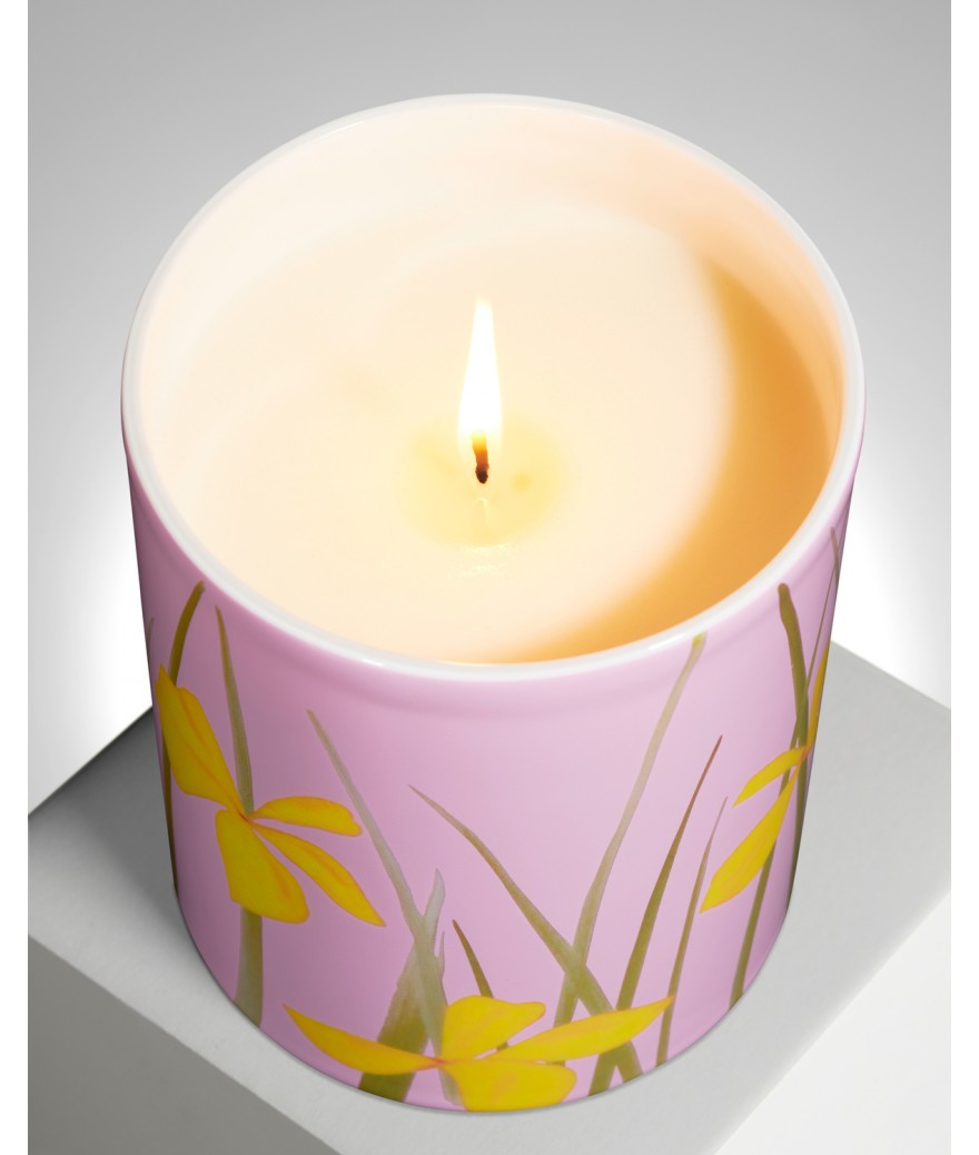 Ligne Blanche Paris Alex KATZ Bougie "Yellow Flags"