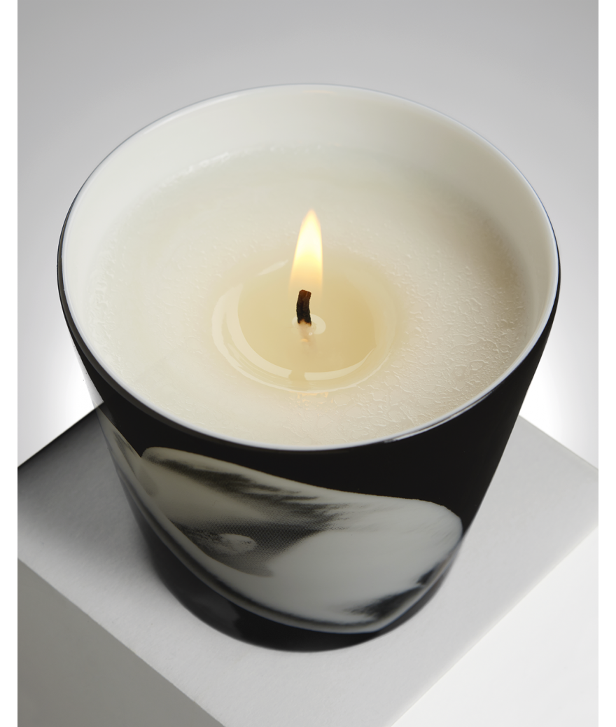 Ligne Blanche Paris R. Mapplethorpe Coffret D’une Bougie Parfumée Arum