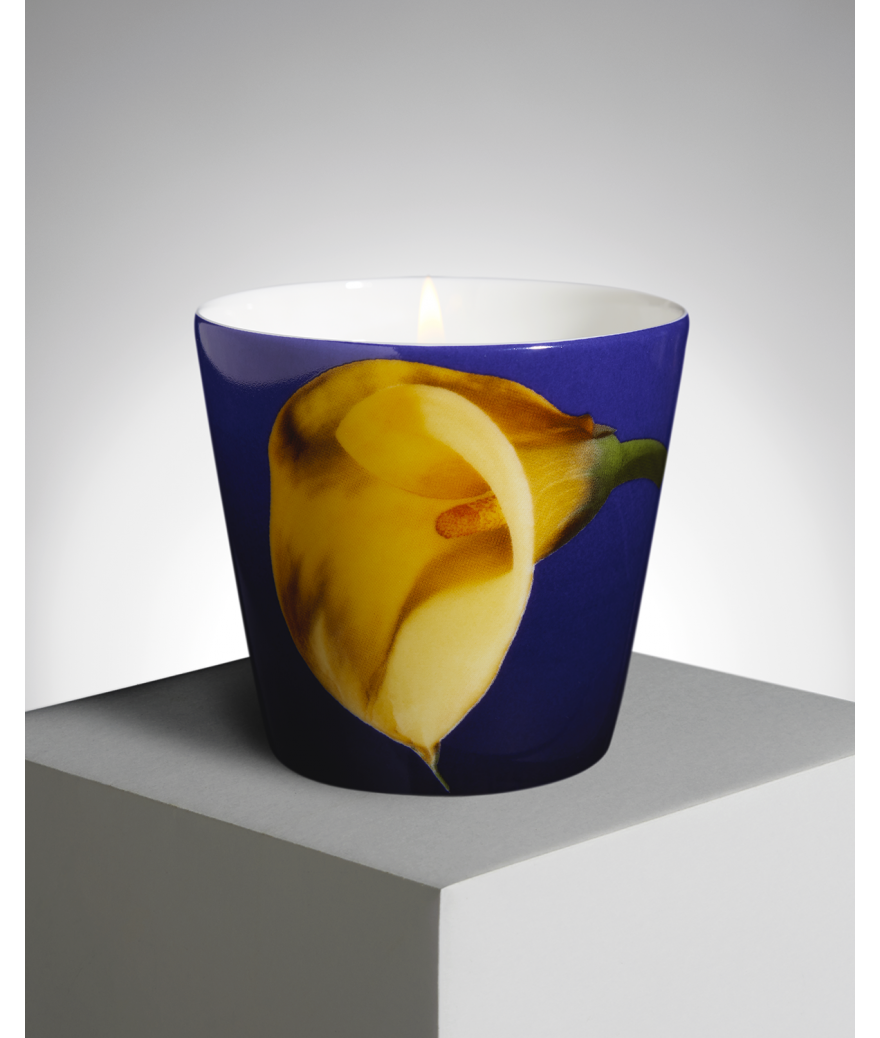 Ligne Blanche Paris R. Mapplethorpe Coffret D’une Bougie Parfumée Arum Jaune