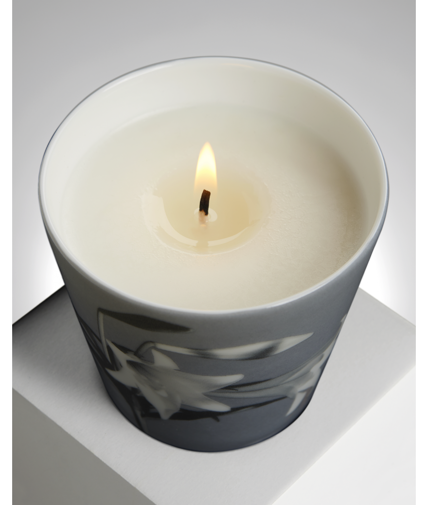 Ligne Blanche Paris R. Mapplethorpe Coffret D’une Bougie Parfumée Lys