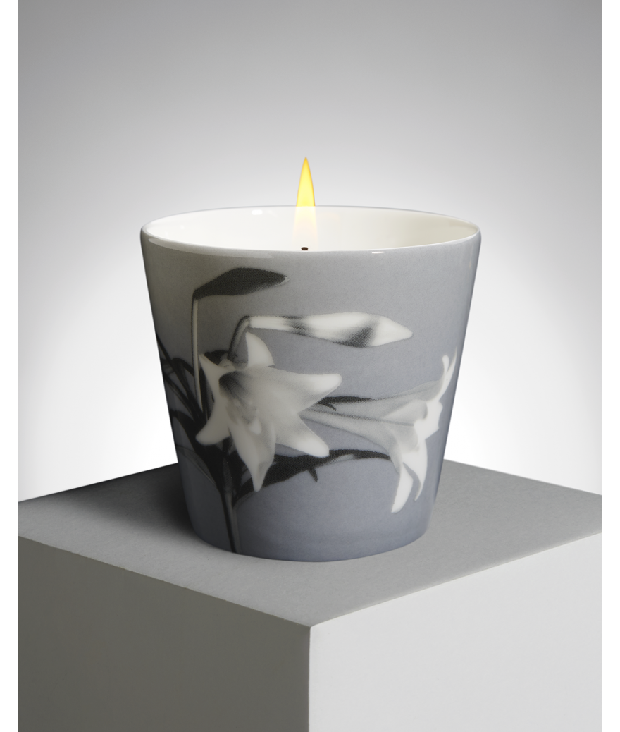Ligne Blanche Paris R. Mapplethorpe Coffret D’une Bougie Parfumée Lys