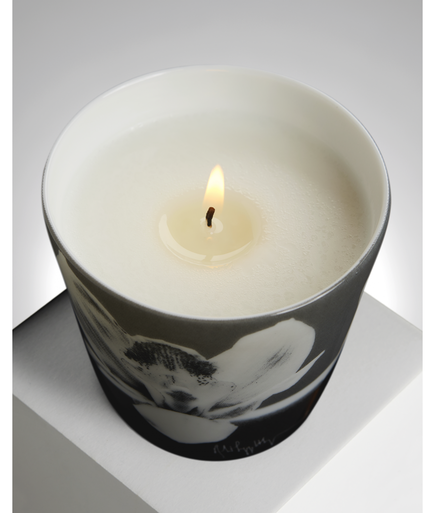 Ligne Blanche Paris R. Mapplethorpe Coffret D’une Bougie Parfumée Orchidées