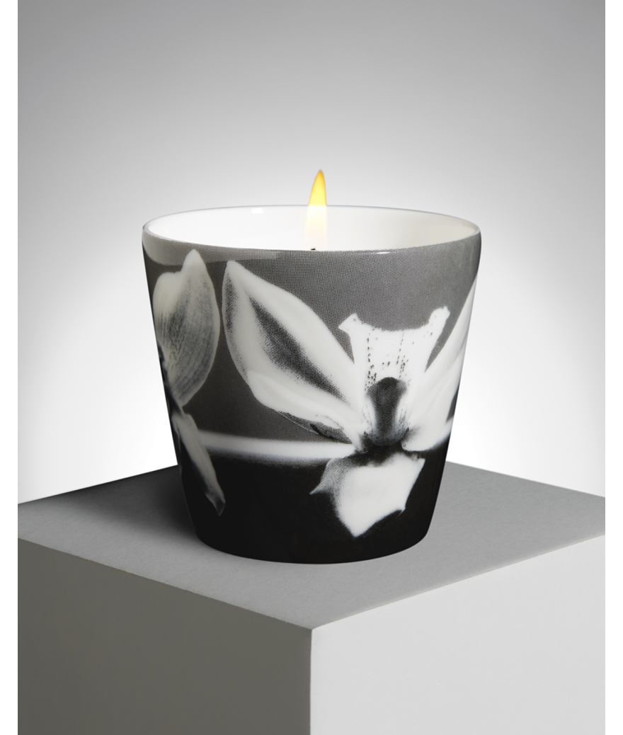 Ligne Blanche Paris R. Mapplethorpe Coffret D’une Bougie Parfumée Orchidées