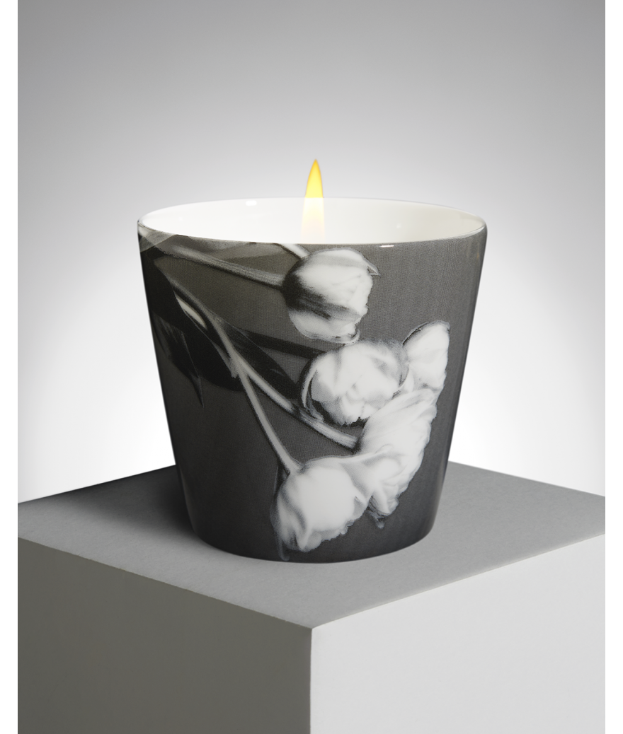 Ligne Blanche Paris R. Mapplethorpe Coffret D’une Bougie Parfumée Tulipe