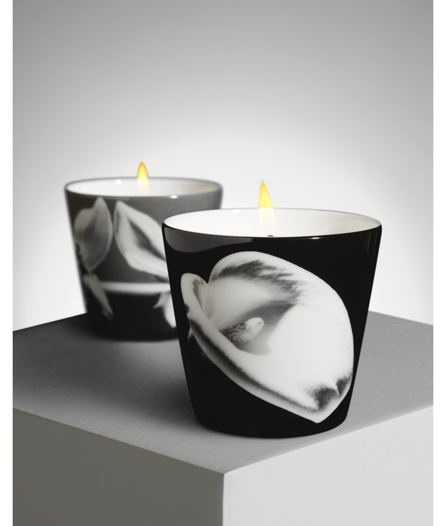 ligne blanche paris R. Mapplethorpe Coffret de deux bougies parfumées Arum & Orchidée