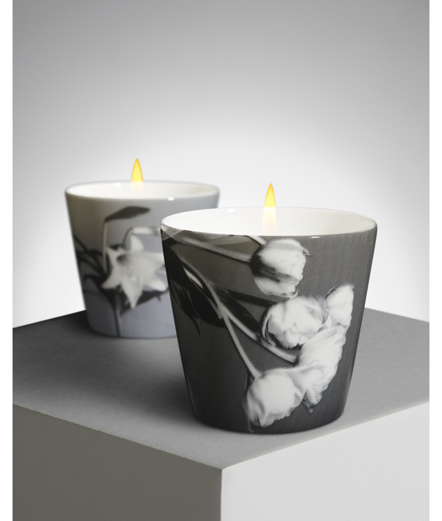 Ligne Blanche Paris R. Mapplethorpe Coffret De Deux Bougies Parfumées Tulipe & Lys