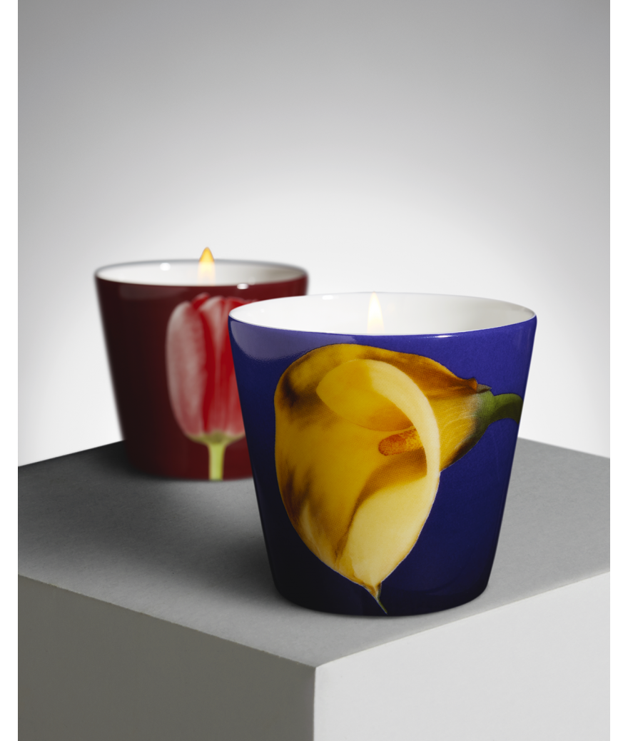 Ligne Blanche Paris R. Mapplethorpe Coffret De Deux Bougies Parfumées Tulipe Rouge Et Arum Jaune