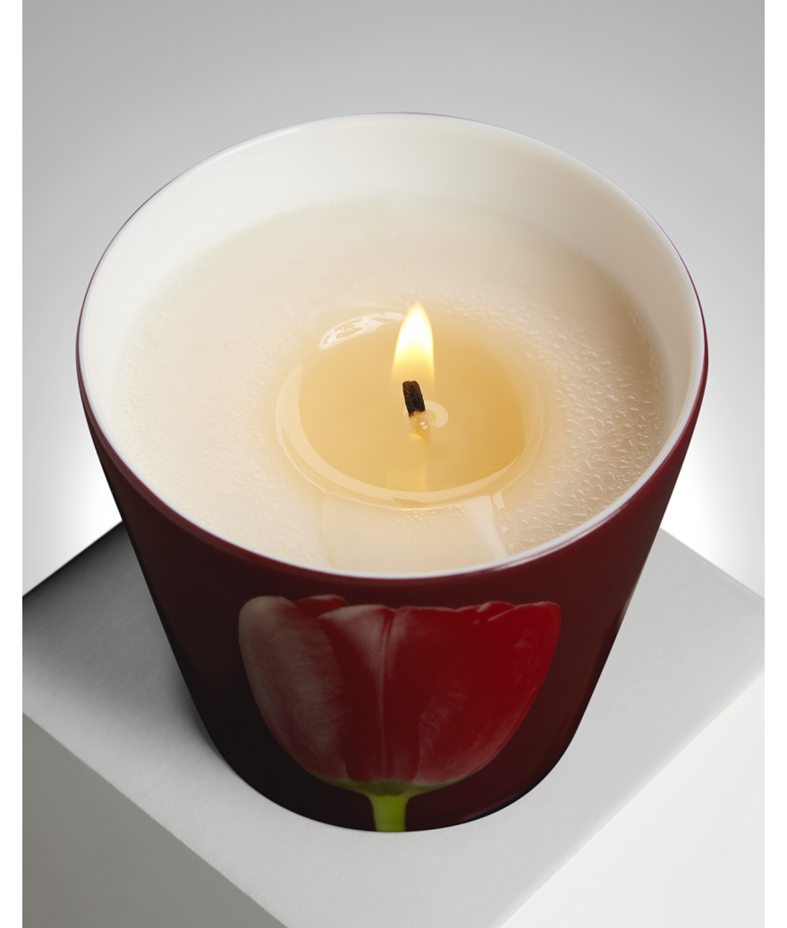 ligne blanche paris R. Mapplethorpe Coffret de deux bougies parfumées Tulipe rouge et Arum jaune