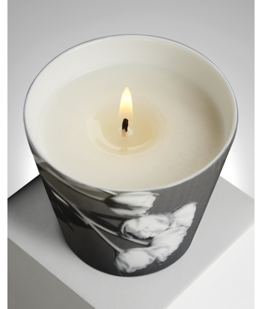 ligne blanche paris R. Mapplethorpe Coffret de deux bougies parfumées Tulipe & Lys