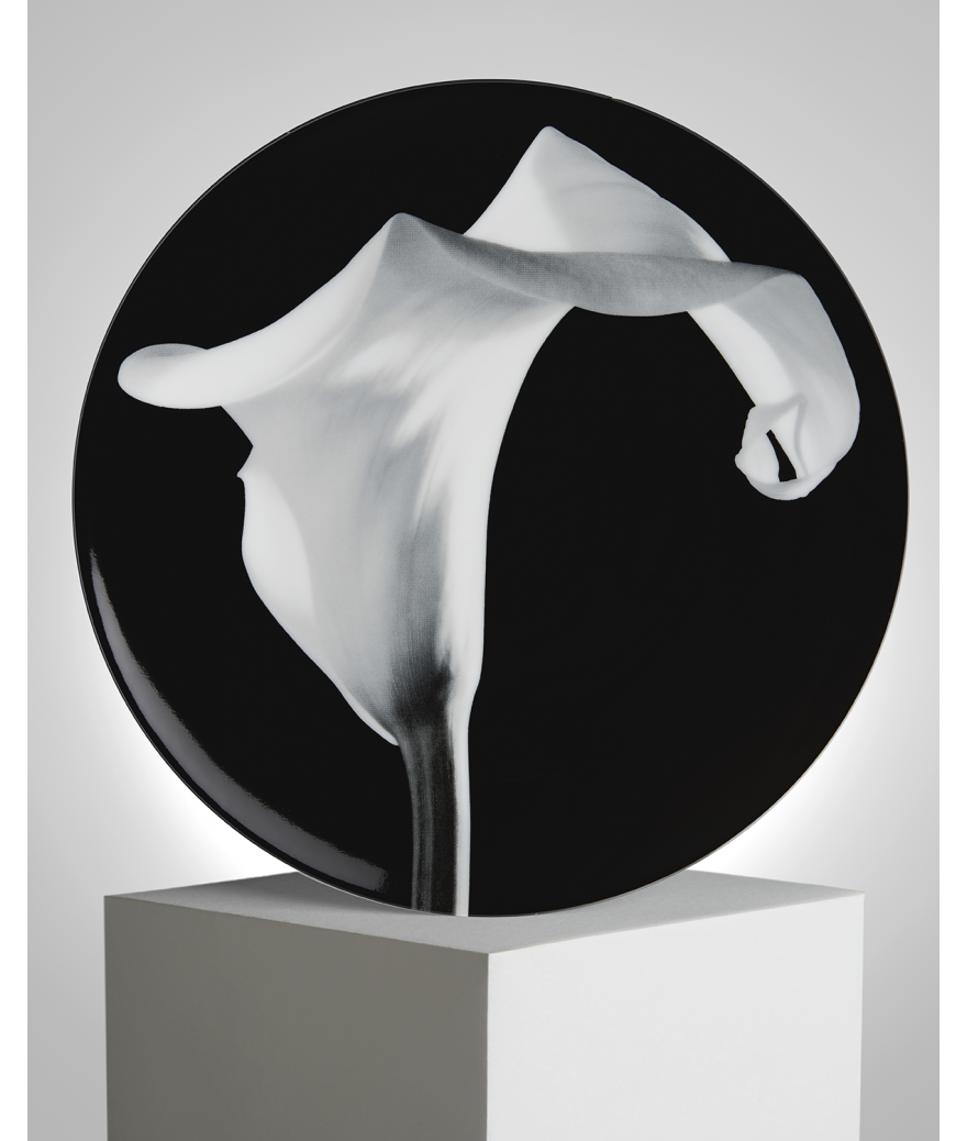 ligne blanche paris Robert MAPPLETHORPE Assiette ”Arum” ligne blanche paris Robert MAPPLETHORPE Assiette ”Arum”