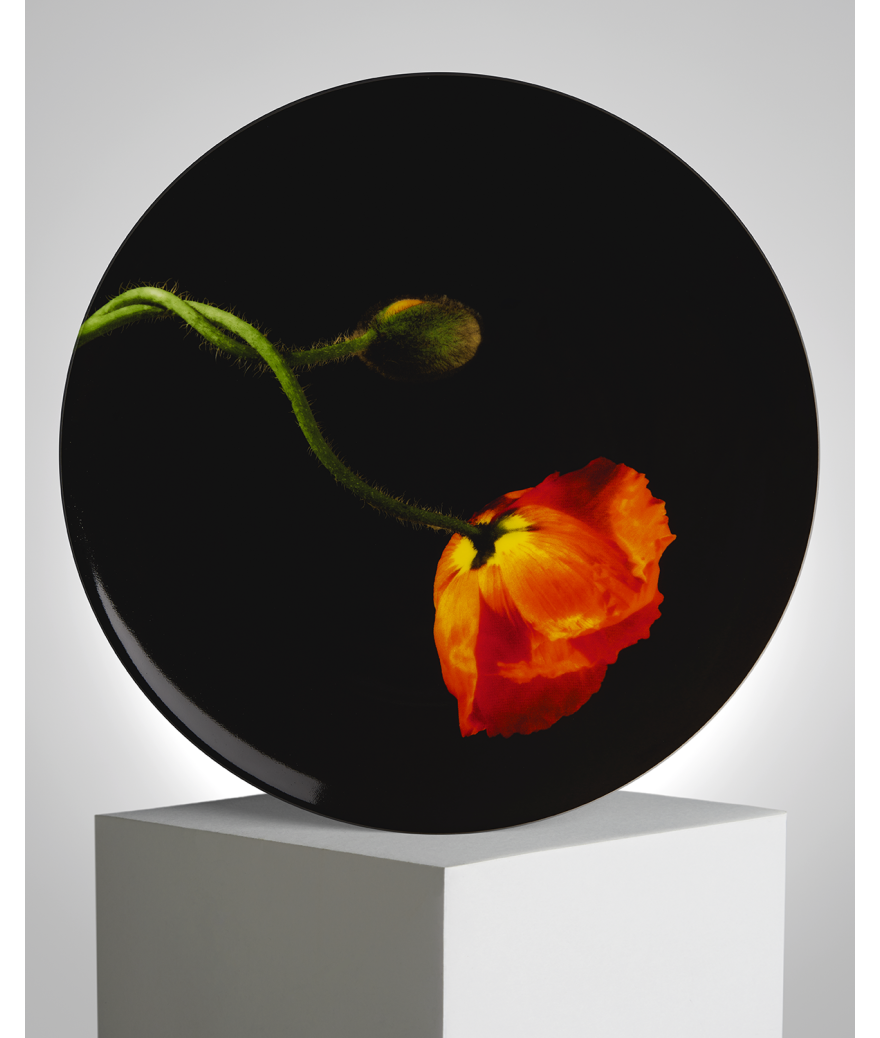 ligne blanche paris Robert MAPPLETHORPE Assiette "Fleur de Pavot Orange"