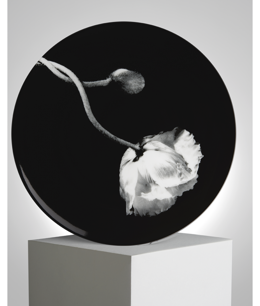 ligne blanche paris Robert MAPPLETHORPE Assiette ”Fleur de Pavot” ligne blanche paris Robert MAPPLETHORPE Assiette ”Fleur de Pavot”