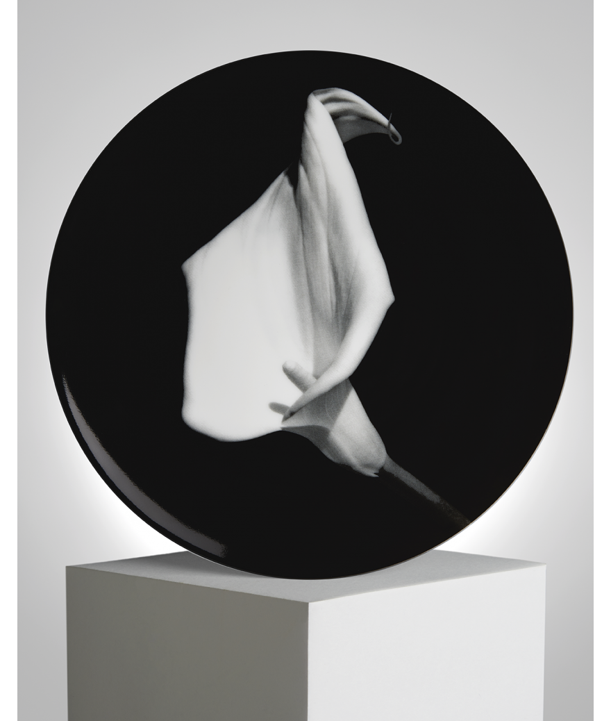 ligne blanche paris Robert MAPPLETHORPE Assiette Petit Arum ligne blanche paris Robert MAPPLETHORPE Assiette Petit Arum
