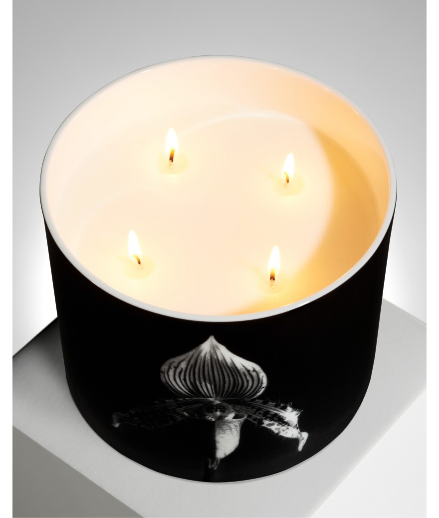 Ligne Blanche Paris Robert MAPPLETHORPE Bougie Géante ”Orchidée”