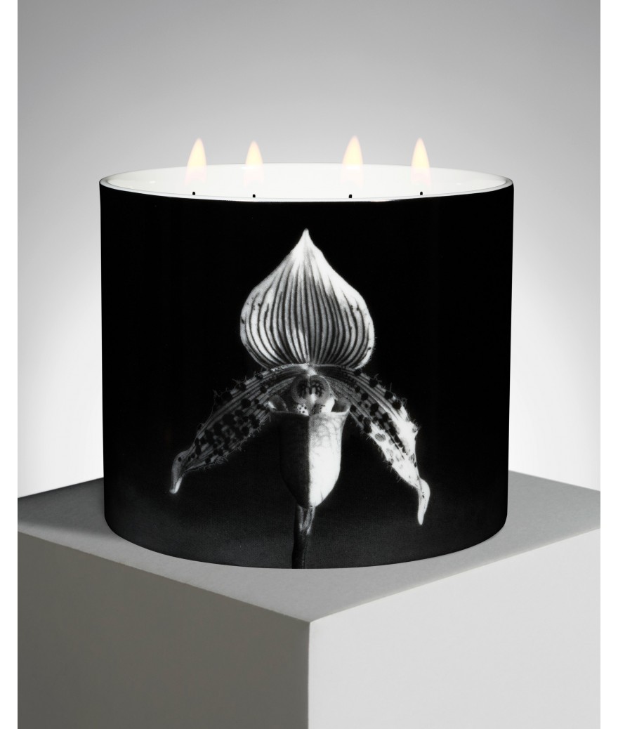 ligne blanche paris Robert MAPPLETHORPE Bougie géante ”Orchidée”