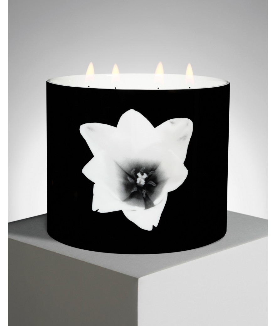 Ligne Blanche Paris Robert MAPPLETHORPE Bougie Géante ”Tulipe”