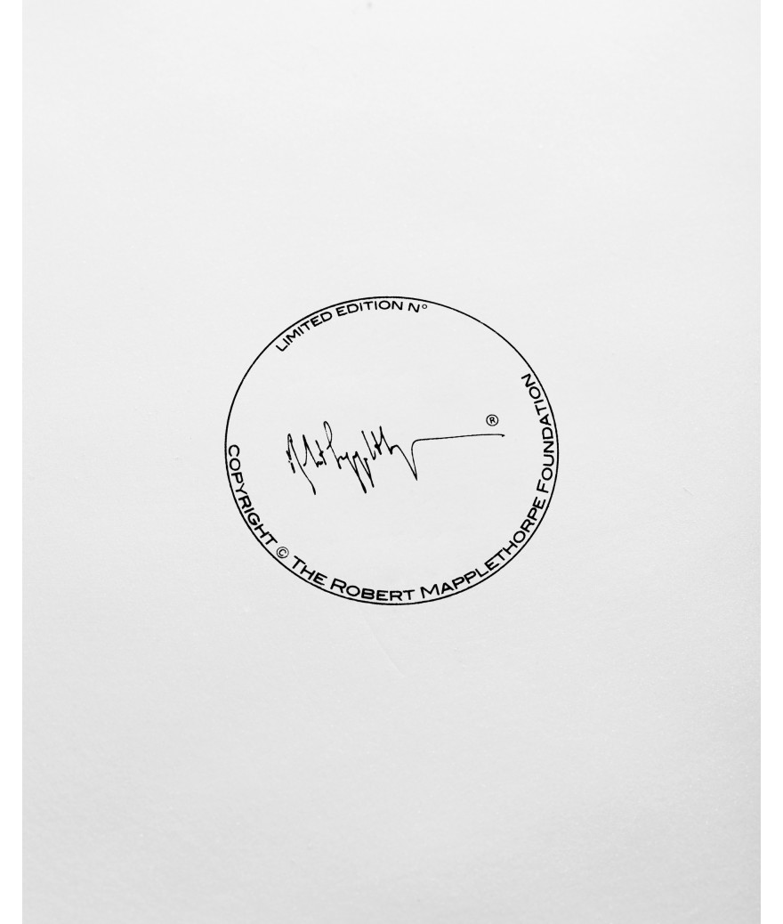 Ligne Blanche Paris Robert MAPPLETHORPE Bougie Géante ”Tulipe”