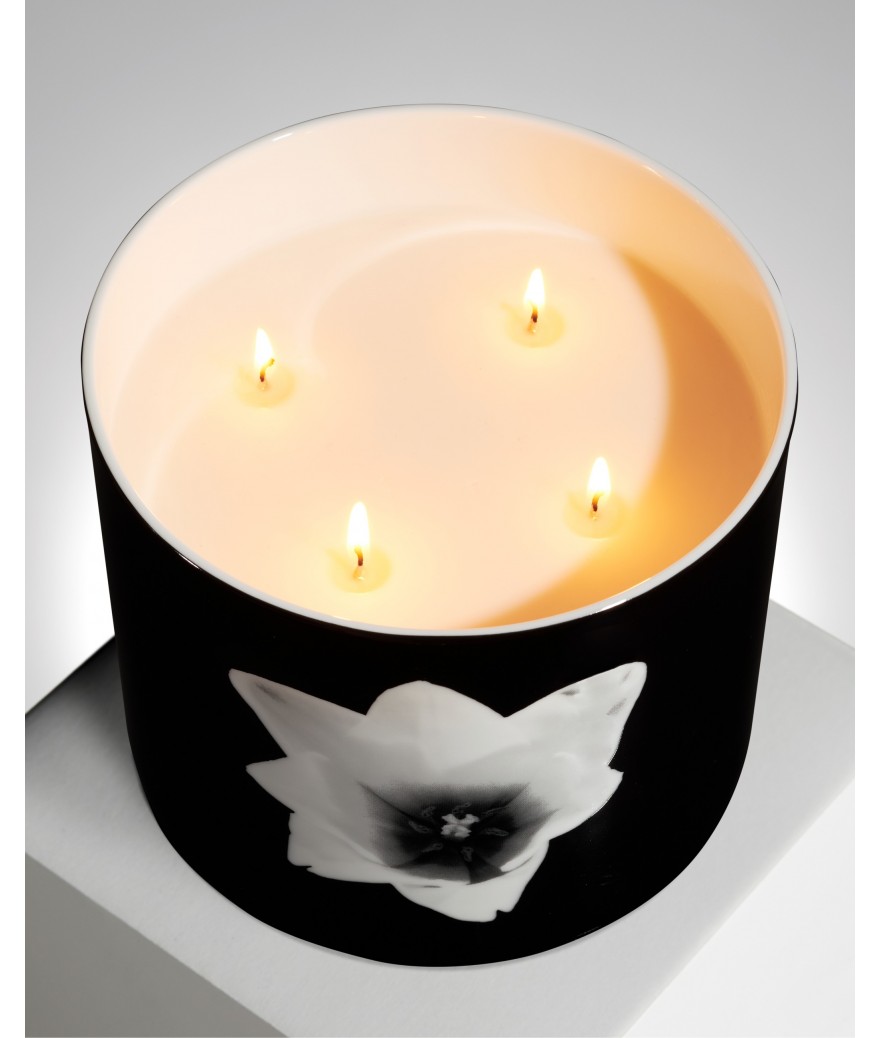 ligne blanche paris Robert MAPPLETHORPE Bougie géante ”Tulipe” ligne blanche paris Robert MAPPLETHORPE Bougie géante ”Tulipe”