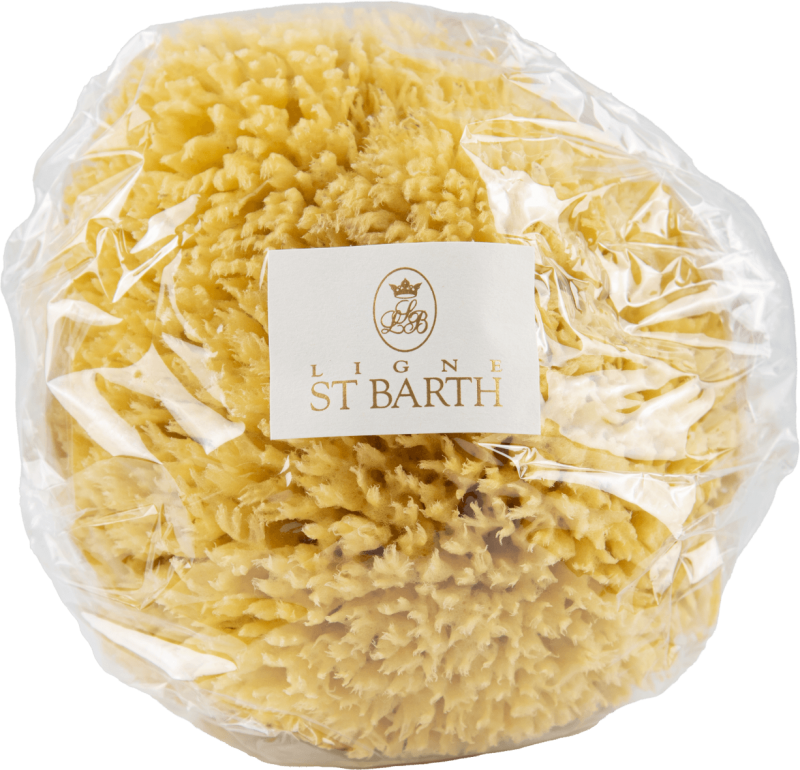 ligne st barth EPONGE NATURELLE 15 16 CM