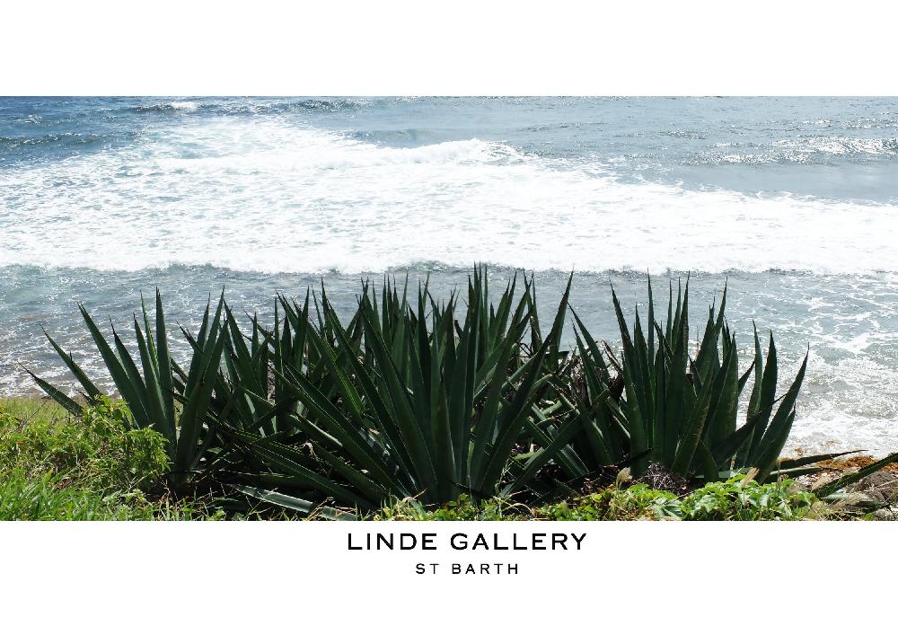 Linde Gallery LEZARD S - GALUCHAT PRINTED SUEDE - BLACK
