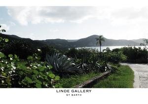 Linde Gallery MILOU M - ALLIGATOR EMBOSSED - BLACK