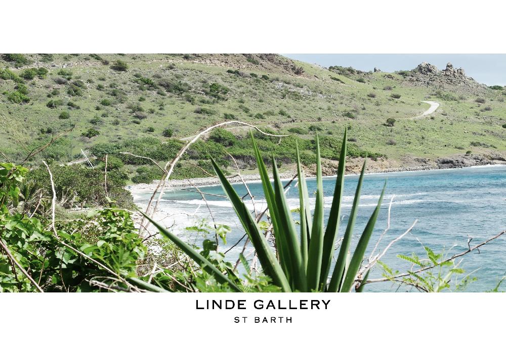 Linde Gallery TOINY S - Galuchat - Printed Suede - Black
